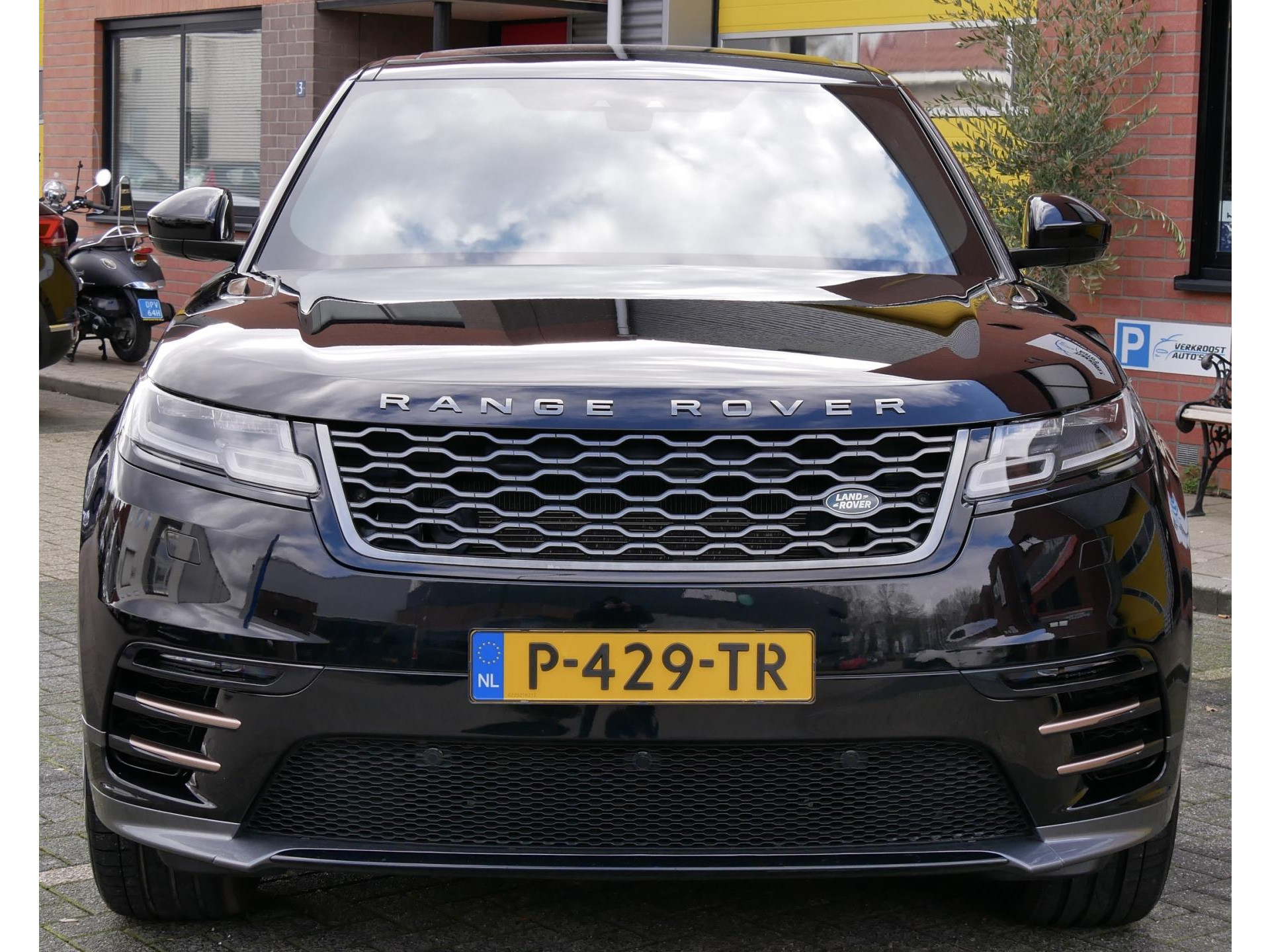 43524464-7.jpg